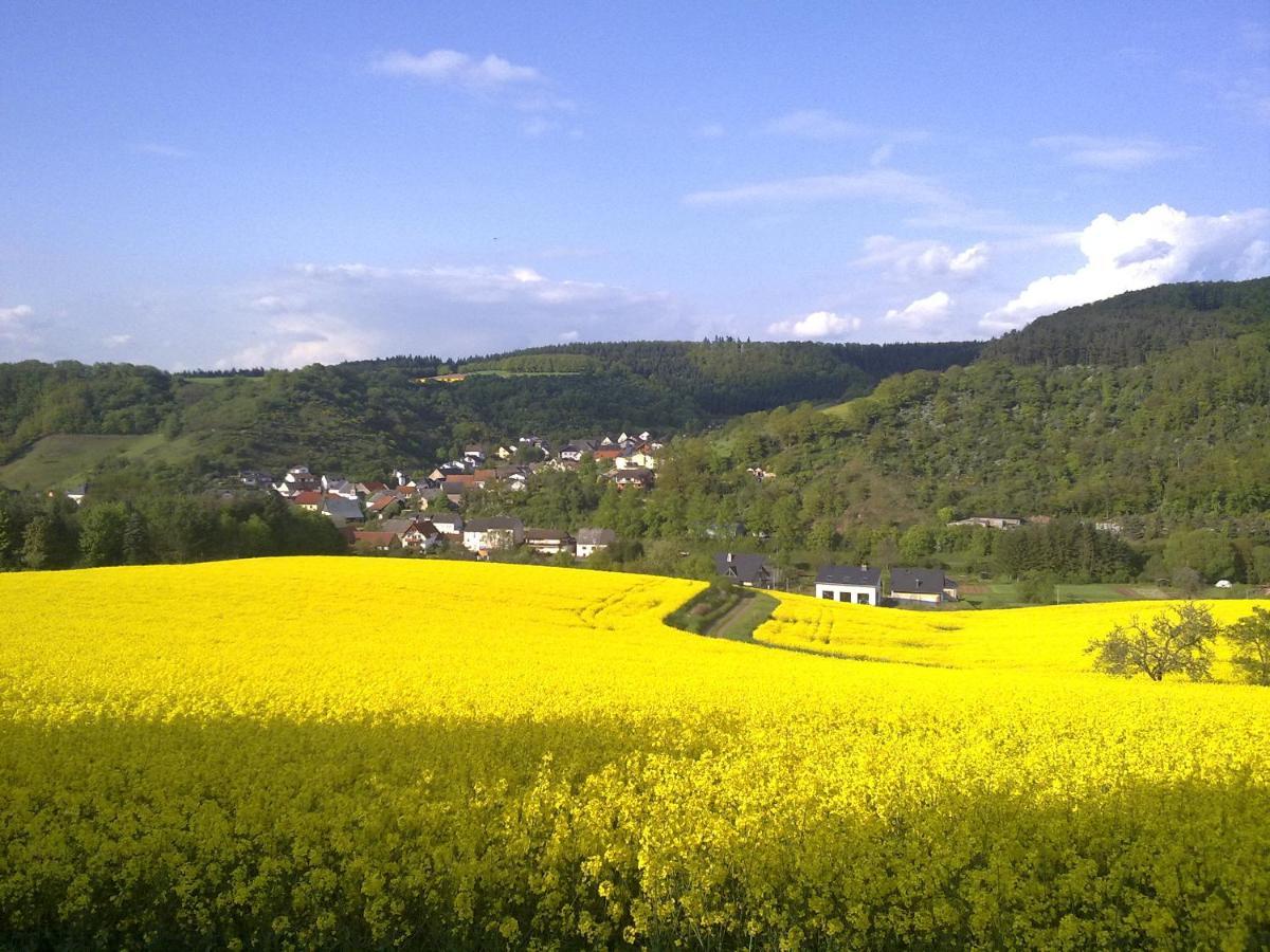Ferienwohnungen Naheliebe Im Hunsrueck & Naheland Bärenbach Buitenkant foto