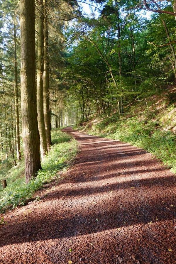 Ferienwohnungen Naheliebe Im Hunsrueck & Naheland Bärenbach Buitenkant foto